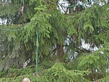 Drehbarer Christbaum