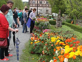 Ein Blütenmeer vor dem Mitwitzer Wasserschloss - und die Vatertagsausflügler kauften für den heimischen Garten ein. Fotos: Sonja Adam