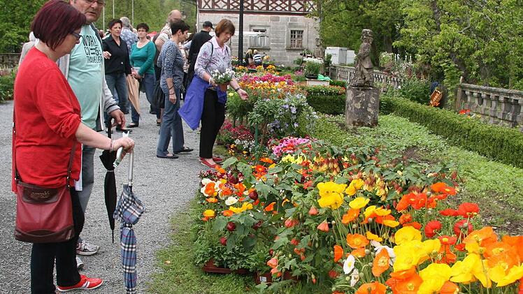 Ein Blütenmeer vor dem Mitwitzer Wasserschloss - und die Vatertagsausflügler kauften für den heimischen Garten ein. Fotos: Sonja Adam