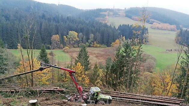 Schon die Slawen rodeten im Frankenwald. Trotz technischem Fortschritt ist das Holzmachen im steilwandigen Kremnitztal immer noch eine schwere und schwierige Arbeit.  Foto: Roland Sch&ouml;nm&uuml;ller