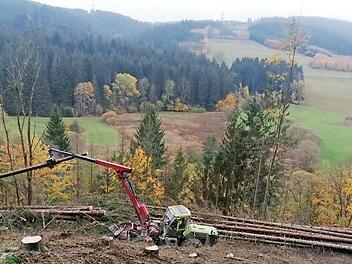 Schon die Slawen rodeten im Frankenwald. Trotz technischem Fortschritt ist das Holzmachen im steilwandigen Kremnitztal immer noch eine schwere und schwierige Arbeit.  Foto: Roland Schönmüller