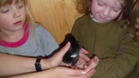 Annemarie Messner streichelt ein Kücken. Foto: privat