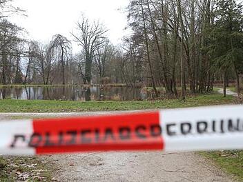 «Wiesentheid-Prozess»