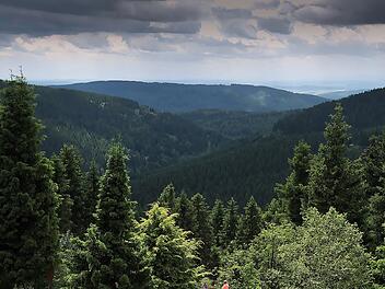 Singles in Thüringen - Von Coburg nach Sonneberg