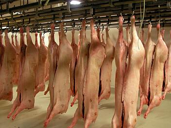 Die Fränkische-Gusto GmbH war der Großkunde. Jetzt werden Tiere der unterfränkischen Firma nicht mehr in Kulmbach geschlachtet. Foto: Archiv