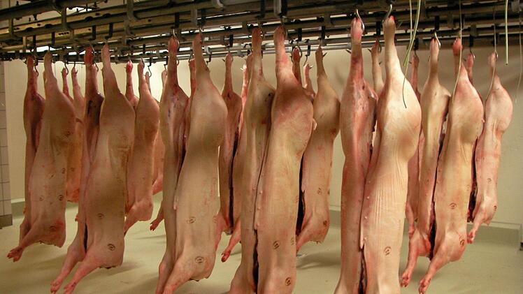 Die Fränkische-Gusto GmbH war der Großkunde. Jetzt werden Tiere der unterfränkischen Firma nicht mehr in Kulmbach geschlachtet. Foto: Archiv