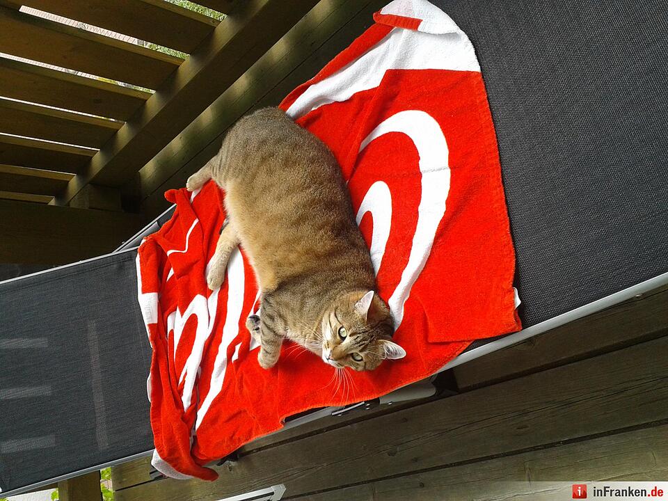 Foto: Kristin Und Melanie Förtsch