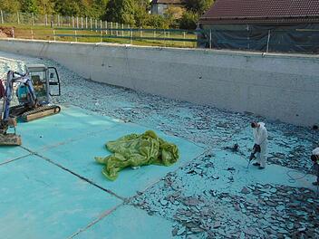 Seit Sommer laufen die Abbrucharbeiten. Das belastete Material muss als Sondermüll entsorgt werden. Foto: Petra Malbrich