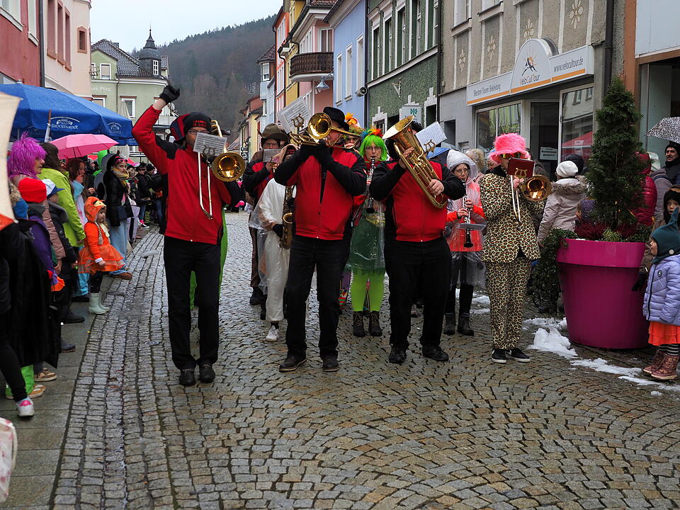 Bad Br&uuml;ckenau feiert Fasching!