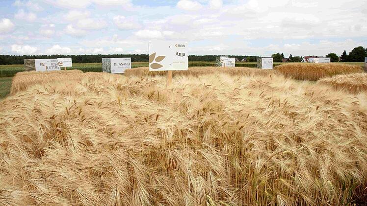 Foto: Richard Sänger