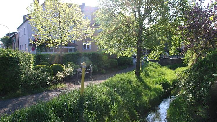 Diese kleine Grünfläche an der Bahnhofstraße unweit von "Schäfers Café" soll beim nächsten Abschnitt der Bahnhofstraßensanierung neu gestaltet werden - möglicherweise mit einem Schwerpunkt Wasser.Matthias Einwag
