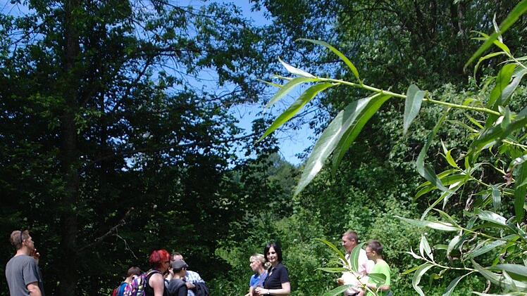 Besucher des Werberger Treffens besichtigen Reste eines alten Schwimmbads. Foto: Steffi Elm