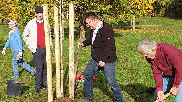 Bad Rodach: Familienwald im Kurpark wächst - "zu zahlreiche Anlässen Bäume pflanzen"