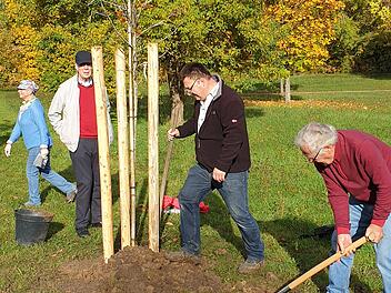 Bad Rodach: Familienwald im Kurpark w&auml;chst - "zu zahlreiche Anl&auml;ssen B&auml;ume pflanzen"