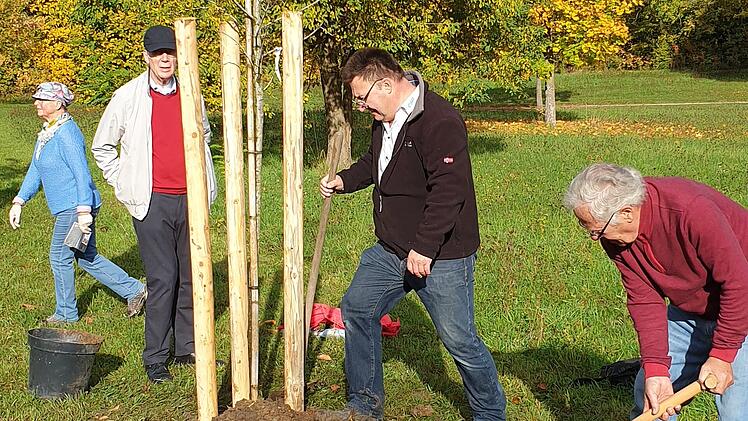 Bad Rodach: Familienwald im Kurpark wächst - "zu zahlreiche Anlässen Bäume pflanzen"