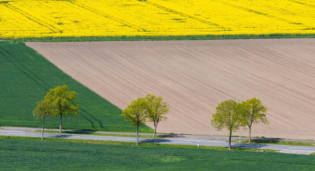 Trockenheit in Niedersachsen