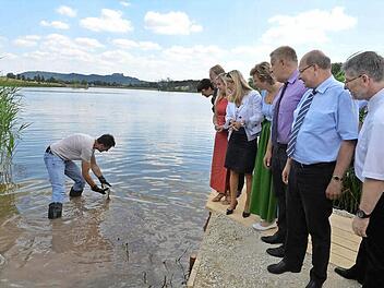 Da geht's lang! Fischzüchter Alexander Krappmann leitete die frisch eingesetzten Zander behutsam vom Uferbereich weg. Die Zuschauer (von links): Landtagsabgeordnete Susann Biedefeld, Bundestagsabgeordneter Hans Michelbach, Staatssekretärin Melanie Huml (rotes Kleid), Tunnelpatin Karin Baumüller-Söder (schwarz-weiß), Europa-Abgeordnete Monika Hohlmeier (Dirndl) , Oberbürgermeister Norbert Kastner, Dritter Bürgermeister Hans-Heinrich Ulmann und Landrat Michael Busch. Foto: Ronald Rinklef