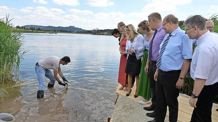 Da geht's lang! Fischzüchter Alexander Krappmann leitete die frisch eingesetzten Zander behutsam vom Uferbereich weg. Die Zuschauer (von links): Landtagsabgeordnete Susann Biedefeld, Bundestagsabgeordneter Hans Michelbach, Staatssekretärin Melanie Huml (rotes Kleid), Tunnelpatin Karin Baumüller-Söder (schwarz-weiß), Europa-Abgeordnete Monika Hohlmeier (Dirndl) , Oberbürgermeister Norbert Kastner, Dritter Bürgermeister Hans-Heinrich Ulmann und Landrat Michael Busch. Foto: Ronald Rinklef