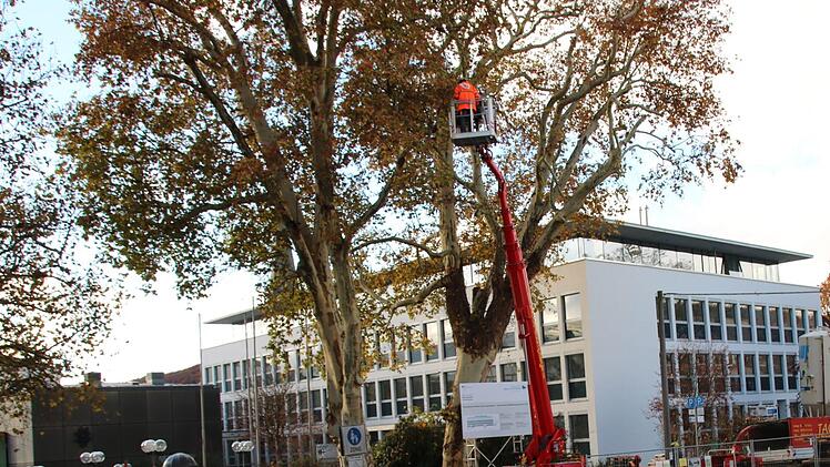 Rund um das Landratsamt. Foto: Ralf Ruppert