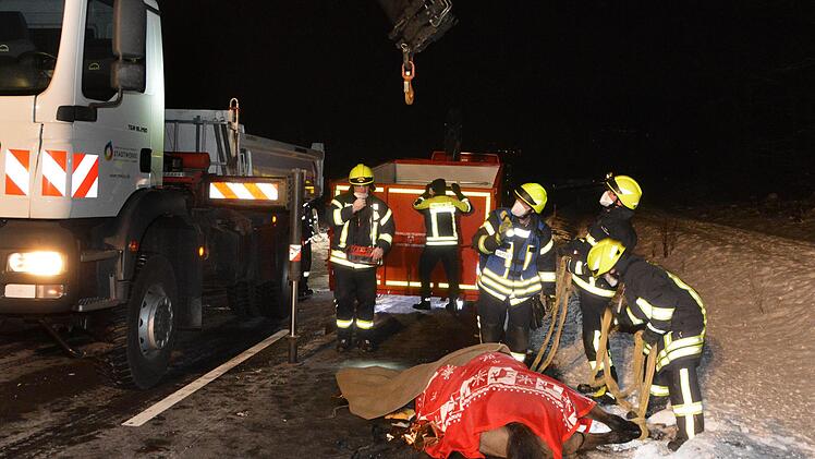 Mit einem Krank wird das tote Tier in einen Container gehoben. Foto: Peter Rauch