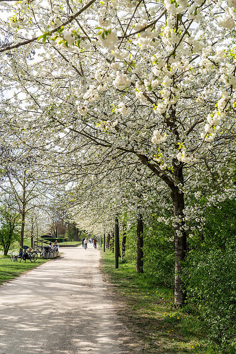 Wunderschönes Naturereignis in Bamberg!
