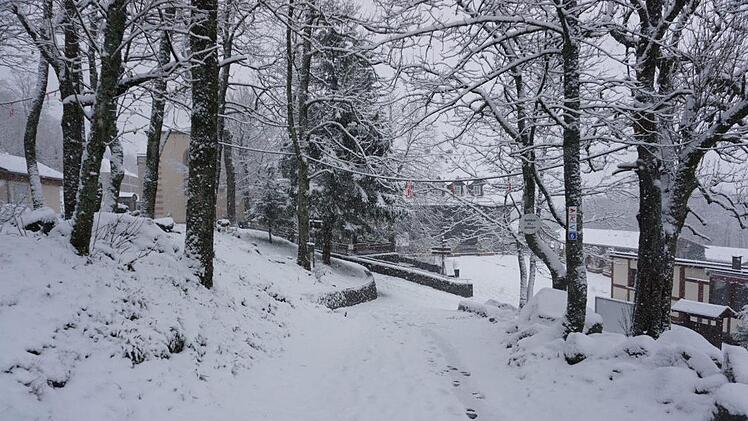 Bilder vom Kreuzberg. Foto: Marion Eckert