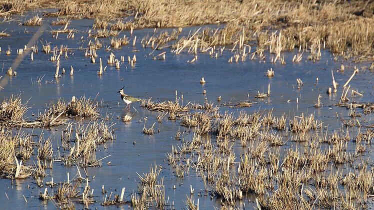 N&uuml;rnberg: F&ouml;rdergelder f&uuml;r den Naturschutz 2022