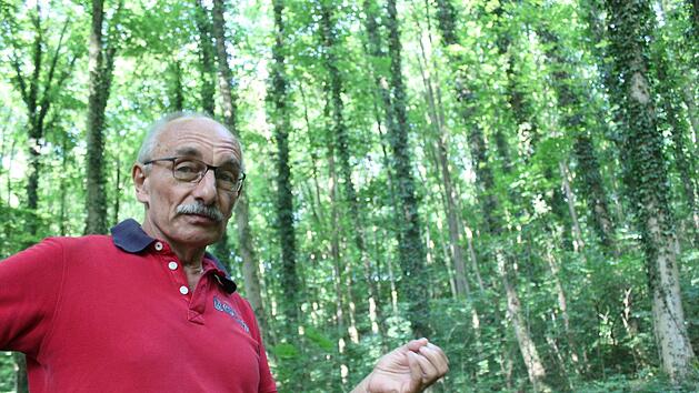 Hermann Hacker, Förster im Ruhestand, führt zu faszinierenden Baumriesen im Forst nahe Kloster Banz. Popp