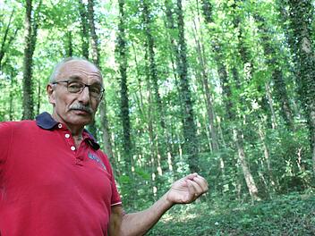Hermann Hacker, Förster im Ruhestand, führt zu faszinierenden Baumriesen im Forst nahe Kloster Banz. Popp