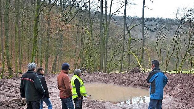 F&ouml;rster Roland Henfling, Lukas Bandorf (Naturpark Ha&szlig;berge), Manfred Husslein (Landratsamt), Georg Biertempfel (Vertreter der Stadt Zeil und der Holzrechtler von Krum) und Winfried Seufert (Naturpark Ha&szlig;berge) vor einem der neu angelegten Feuchtbiotope bei Krum (von links)  Foto: Norbert Schmucker