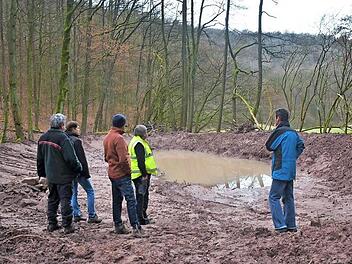 Förster Roland Henfling, Lukas Bandorf (Naturpark Haßberge), Manfred Husslein (Landratsamt), Georg Biertempfel (Vertreter der Stadt Zeil und der Holzrechtler von Krum) und Winfried Seufert (Naturpark Haßberge) vor einem der neu angelegten Feuchtbiotope bei Krum (von links)  Foto: Norbert Schmucker