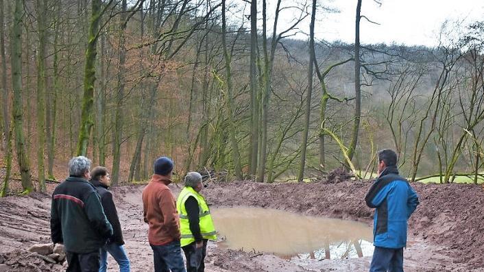 Förster Roland Henfling, Lukas Bandorf (Naturpark Haßberge), Manfred Husslein (Landratsamt), Georg Biertempfel (Vertreter der Stadt Zeil und der Holzrechtler von Krum) und Winfried Seufert (Naturpark Haßberge) vor einem der neu angelegten Feuchtbiotope bei Krum (von links)  Foto: Norbert Schmucker