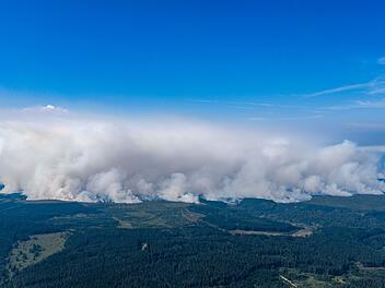 Waldbrand in Belgien