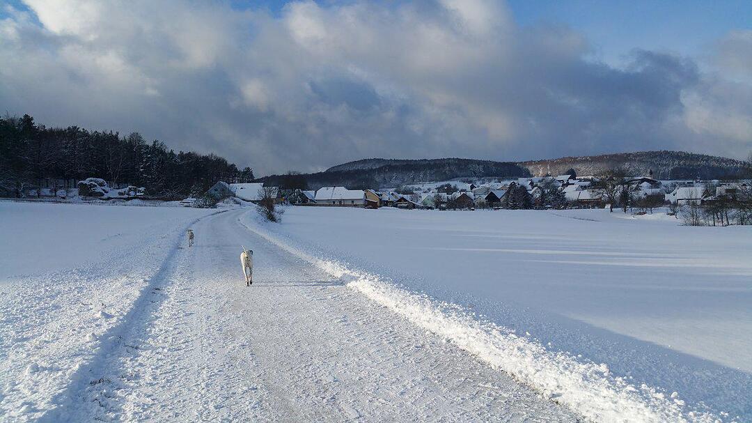 Schnee und Eis - Die schönsten Aufnahmen aus Franken
