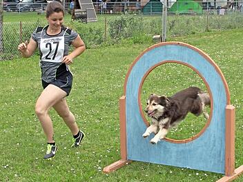 Sabrina Muth von den Hundefreunden Eltmann bestritt mit ihrer Hündin Cara das Hundesportturnier des Vereins für Hundesport Wonfurt mit großem Erfolg. Fotos: Ulrike Langer