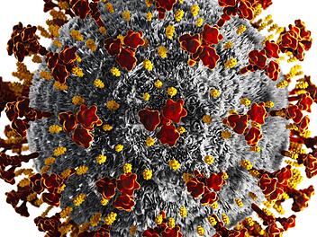 Symbolbild:  adobestock