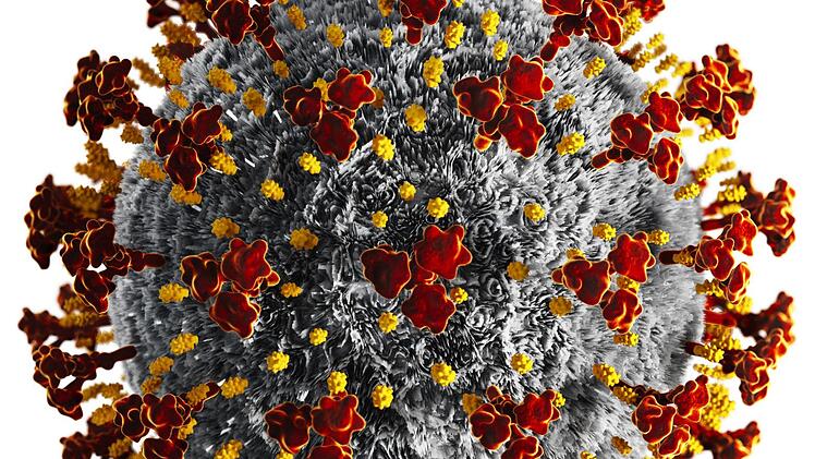 Symbolbild:  adobestock