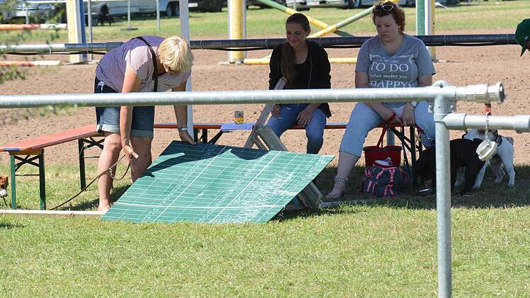 Impressionen vom Rakoczy-Reitturnier. Foto: ssp