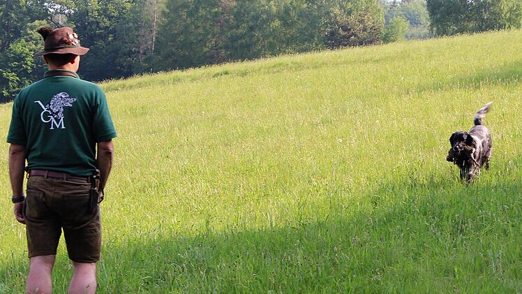 Wilfried Helfrich und sein Hund Amun führen die Arbeit mit einer Schweißfährte vor.
