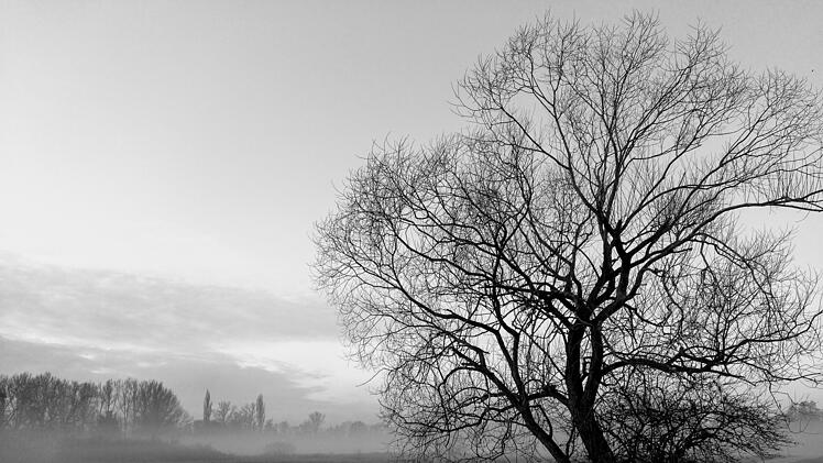 Wettervorhersage: Ein winterliches Wochenende steht in Franken bevor