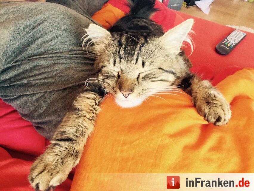 Foto: Samira Jeschek