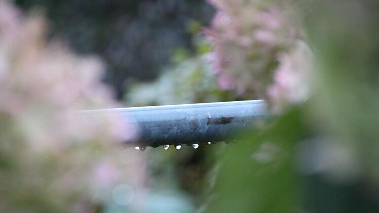 Zwischen herbstlichen Blüten hängen Tropfen an einem Geländer. Foto: Ulrike Müller