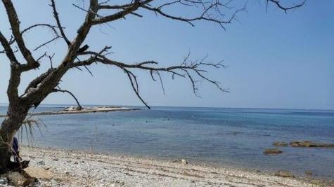 Wo sonst an den Str&auml;nden Istriens Touristen dicht gedr&auml;ngt nebeneinander liegen, waren Nadja Schumann und ihre Familie fast alleine.  Foto: Nadja Schumann