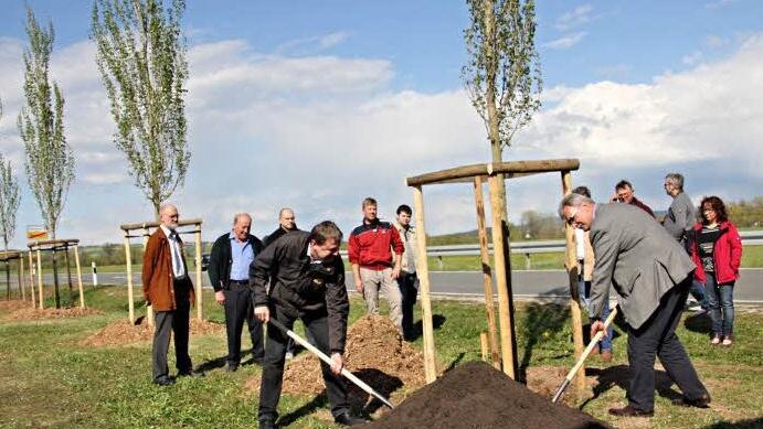 Bevor Alfons Schanz und Bürgermeister Helmut Dietz (vorne von links) letzte Hand bei der Pflanzaktion anlegten, wurde mit den Bürgerinnen und Bürger ausgiebig wegen der Fällaktion der alten Pappel diskutiert.  Foto: Helmut Will