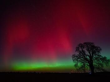 Polarlichter leuchten am Nachthimmel