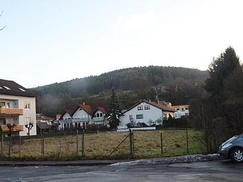 Auf diesem Grundstück im Ziegelwinkel in Kronach sollen zwei Wohnhäuser mit zwölf Wohneinheiten und Carport für 21 Stellplätze entstehen.K.- H. Hofmann