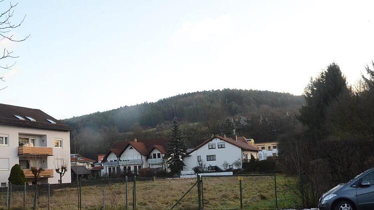 Auf diesem Grundstück im Ziegelwinkel in Kronach sollen zwei Wohnhäuser mit zwölf Wohneinheiten und Carport für 21 Stellplätze entstehen.K.- H. Hofmann