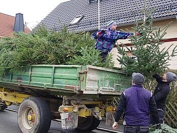 Nicht nur der SSV Lahm-Hesselbach zieht am Wochenende durch die heimischen Straßenzüge, um ausgediente Weihnachtsbäume einzusammeln. Bei den immer beliebter werdenden Knutfesten gehen die Tannen dann in Flammen auf. Foto: Heike Schülein/Archiv
