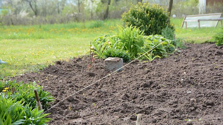 Praxisstunde für Gartenbau im Hausgarten Foto: Dagmar Besand