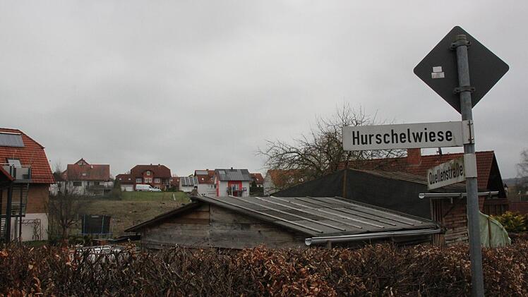 Anwohner von Hurschelwiese und H&ouml;llgraben haben zum Teil am Waldrand gebaut. Jetzt ist die Sicht frei - vielleicht sogar bald auf neue H&auml;user.  Foto: Kerstin V&auml;th
